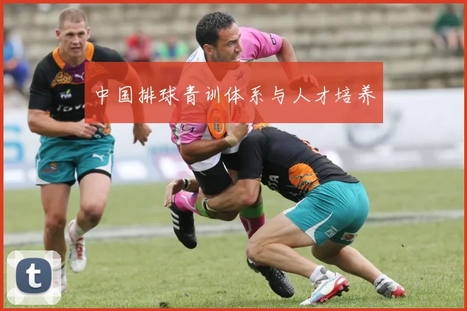 中国排球青训体系与人才培养