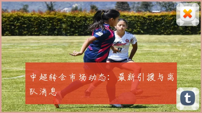 中超转会市场动态:最新引援与离队消息